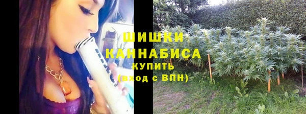дурь Белокуриха