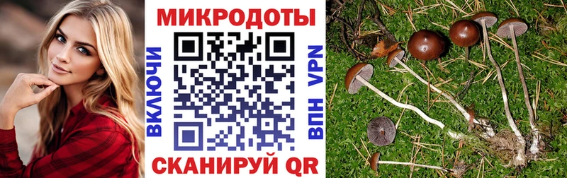 Псилоцибиновые грибы Magic Shrooms  Гатчина 