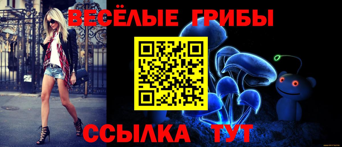Галлюциногенные грибы Cubensis Гатчина