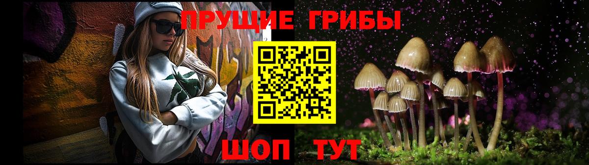 Галлюциногенные грибы мицелий  Галлюциногенные грибы прущие грибы  Вход с VPN  даркнет сайт  Гатчина 